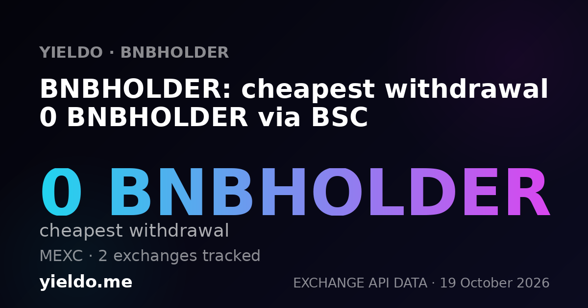 BNBHOLDER: cheapest withdrawal 0 BNBHOLDER via BSC