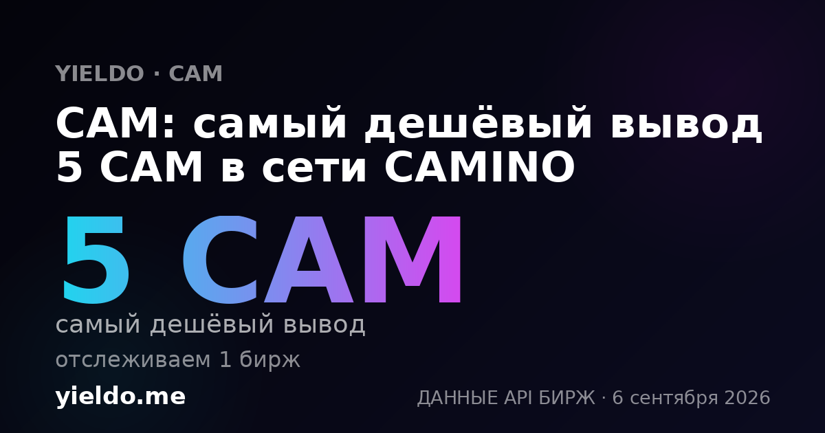 CAM: самый дешёвый вывод 5 CAM в сети CAMINO