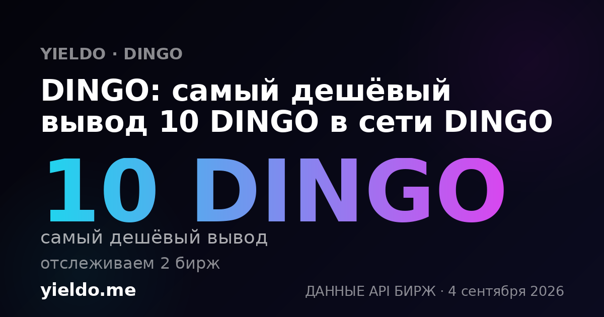 DINGO: самый дешёвый вывод 10 DINGO в сети DINGO