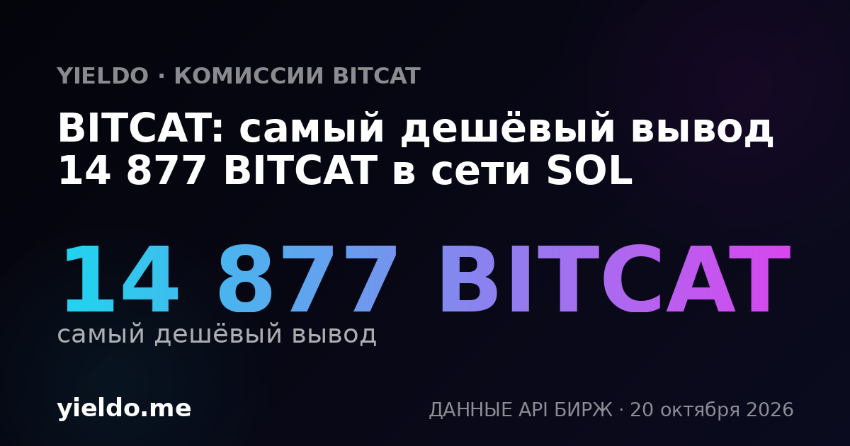 BITCAT: самый дешёвый вывод 14 877 BITCAT в сети SOL