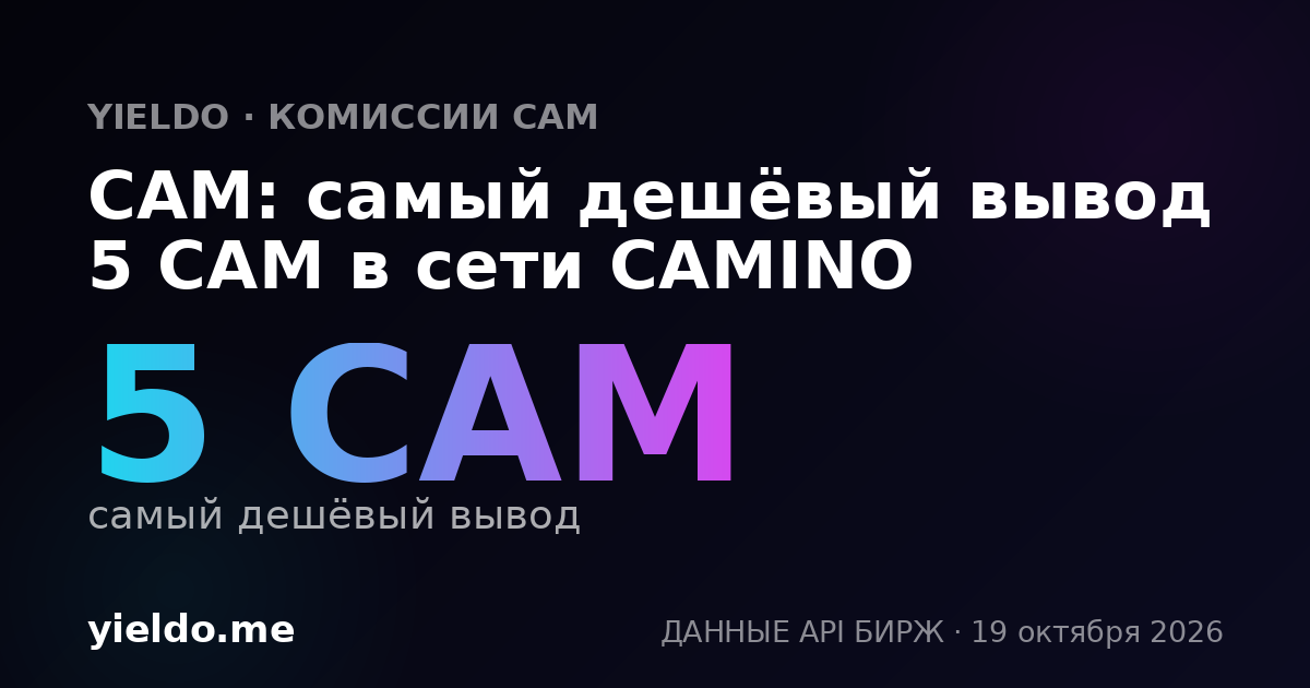CAM: самый дешёвый вывод 5 CAM в сети CAMINO