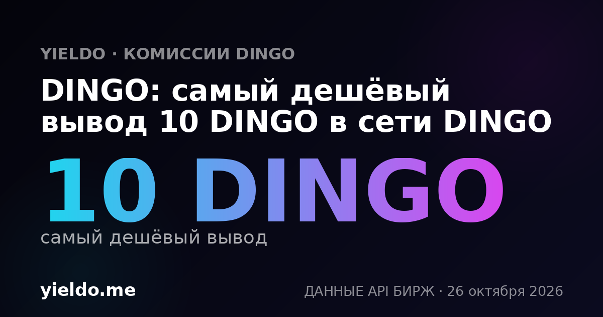 DINGO: самый дешёвый вывод 10 DINGO в сети DINGO