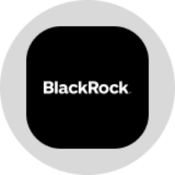 Blackrock, Inc. (Ondo Tokenized Stock) (BLKON) logo