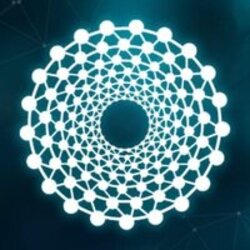 LAN Network (LAN) logo