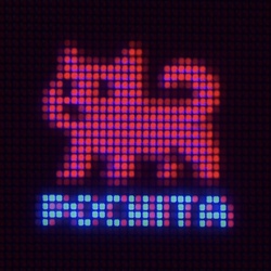 POCHITA