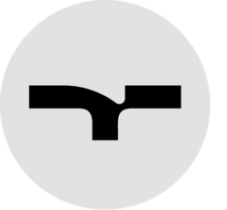 The America Party (TAP) logo