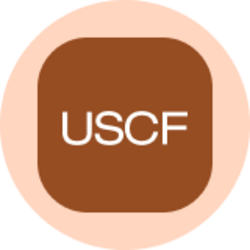 United States Oil Fund (Ondo Tokenized) (USOON) logo