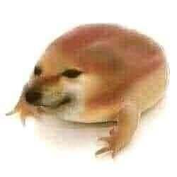 what the dog doing? (我的刀盾) logo